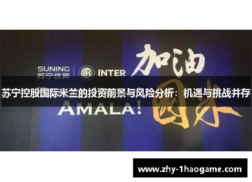 苏宁控股国际米兰的投资前景与风险分析:机遇与挑战并存 苏宁控股国际米兰的投资前景与风险分析:机遇与挑战并存