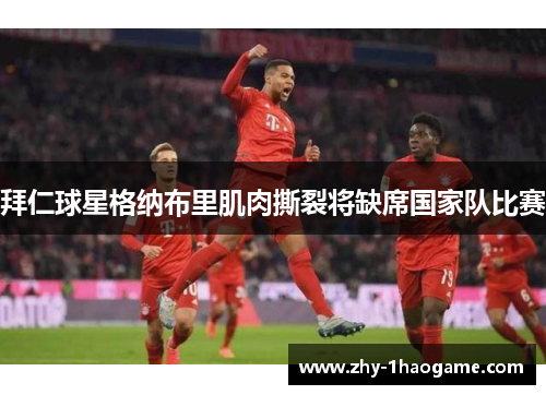 拜仁球星格纳布里肌肉撕裂将缺席国家队比赛